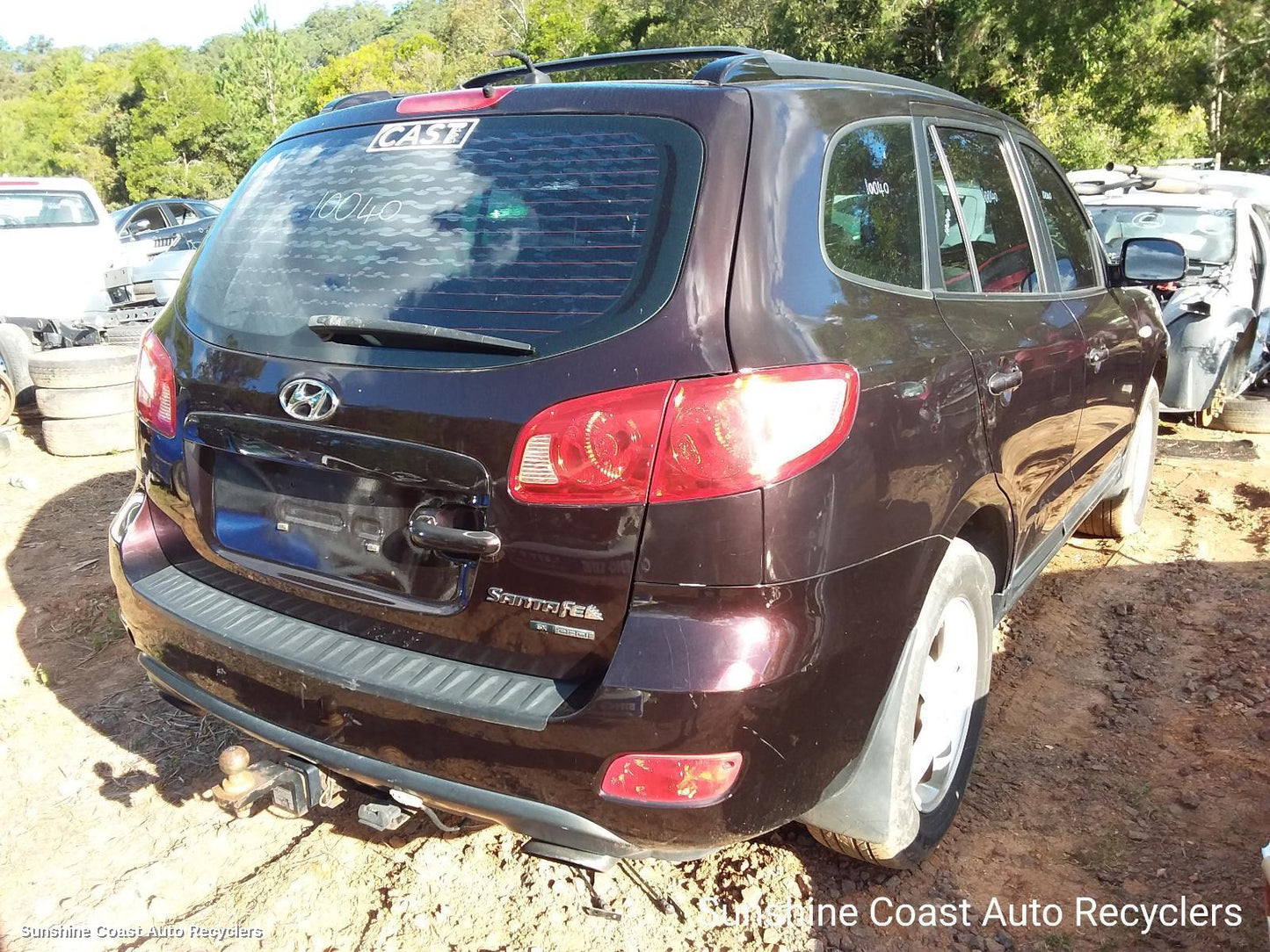2007 Hyundai Santa Fe Steering Pump