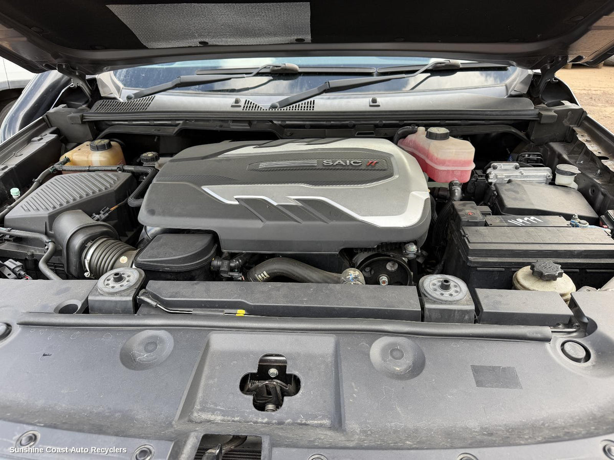 2017-2026 Ldv T60 Courtesy Light