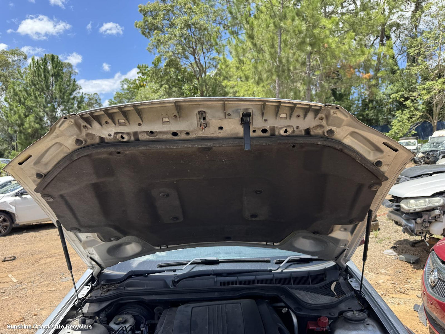 2010 Holden Commodore Bonnet Hinge Strut