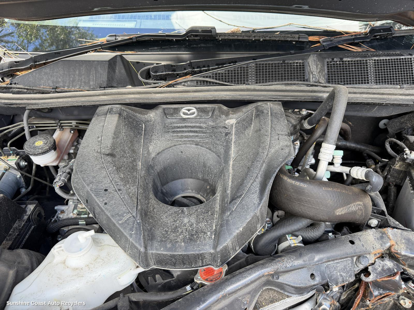 2020-2026 Mazda Bt50 Engine