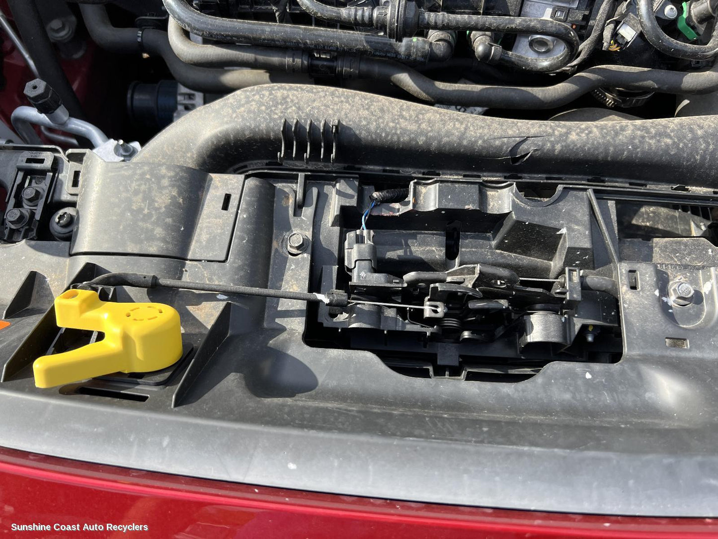 2020 Ford Puma Bonnet Lock Support