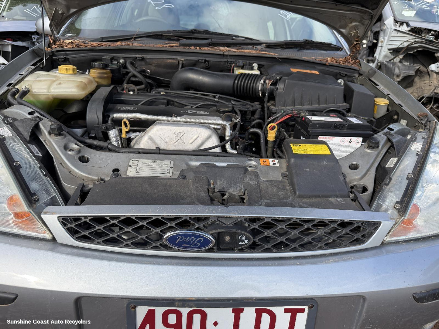 2001-2005 Ford Focus Grille