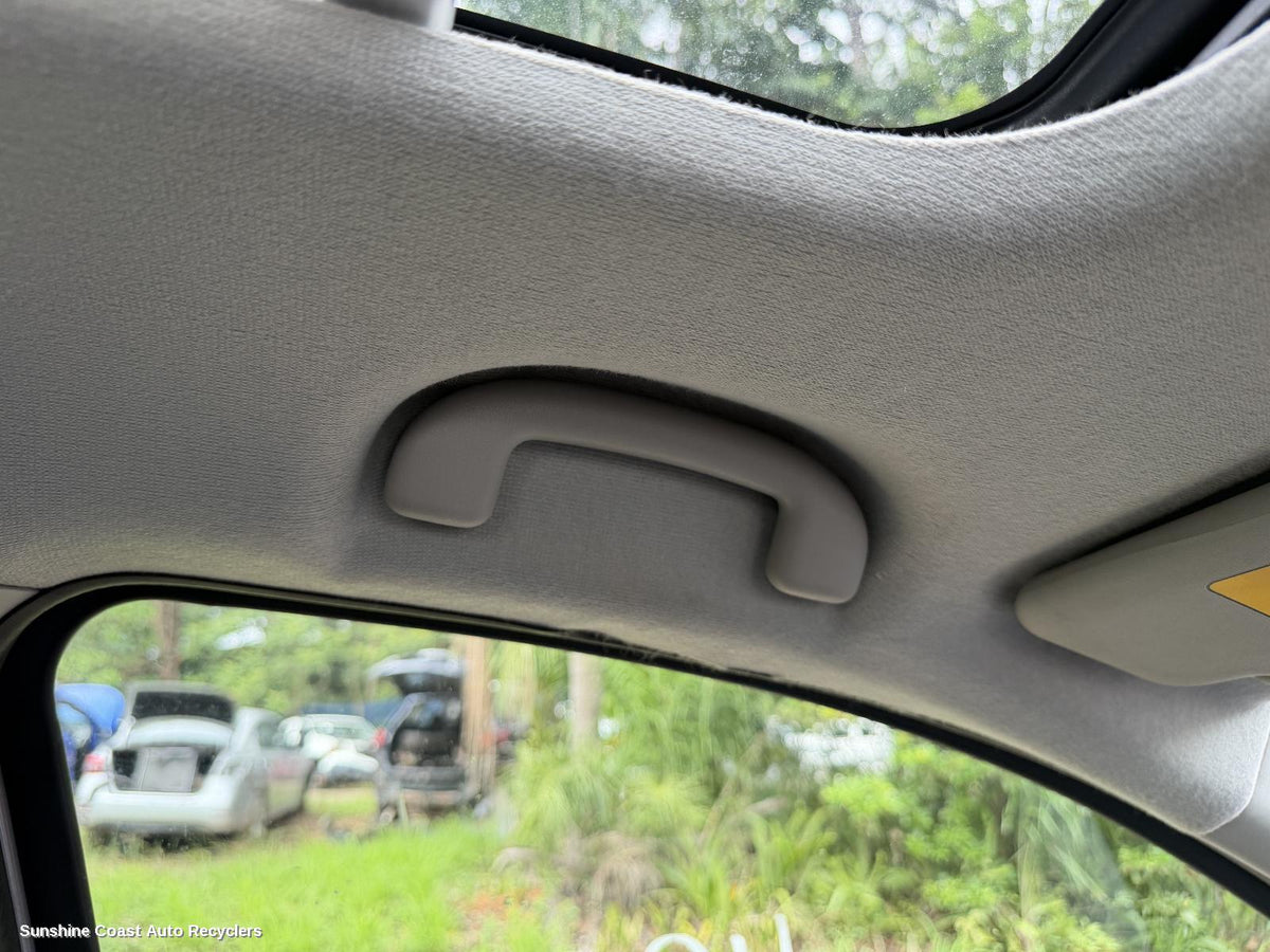 2013-2022 Suzuki S-cross Grab Handle