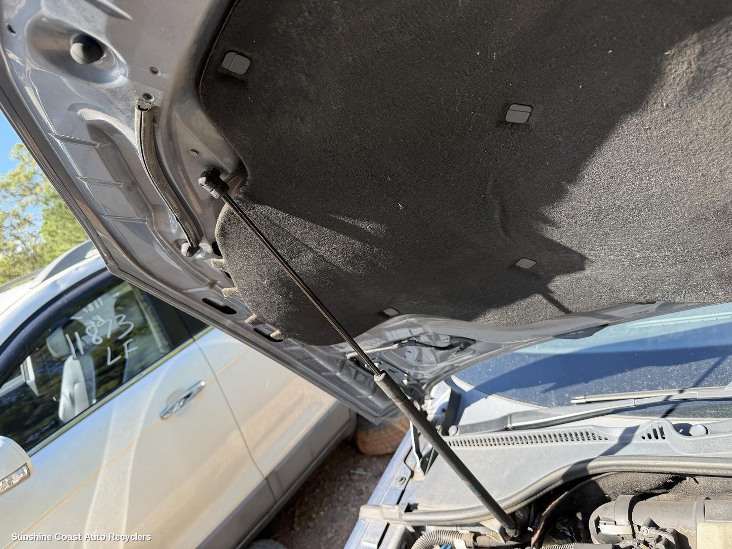 2007-2014 Volkswagen Eos Bonnet Hinge Strut