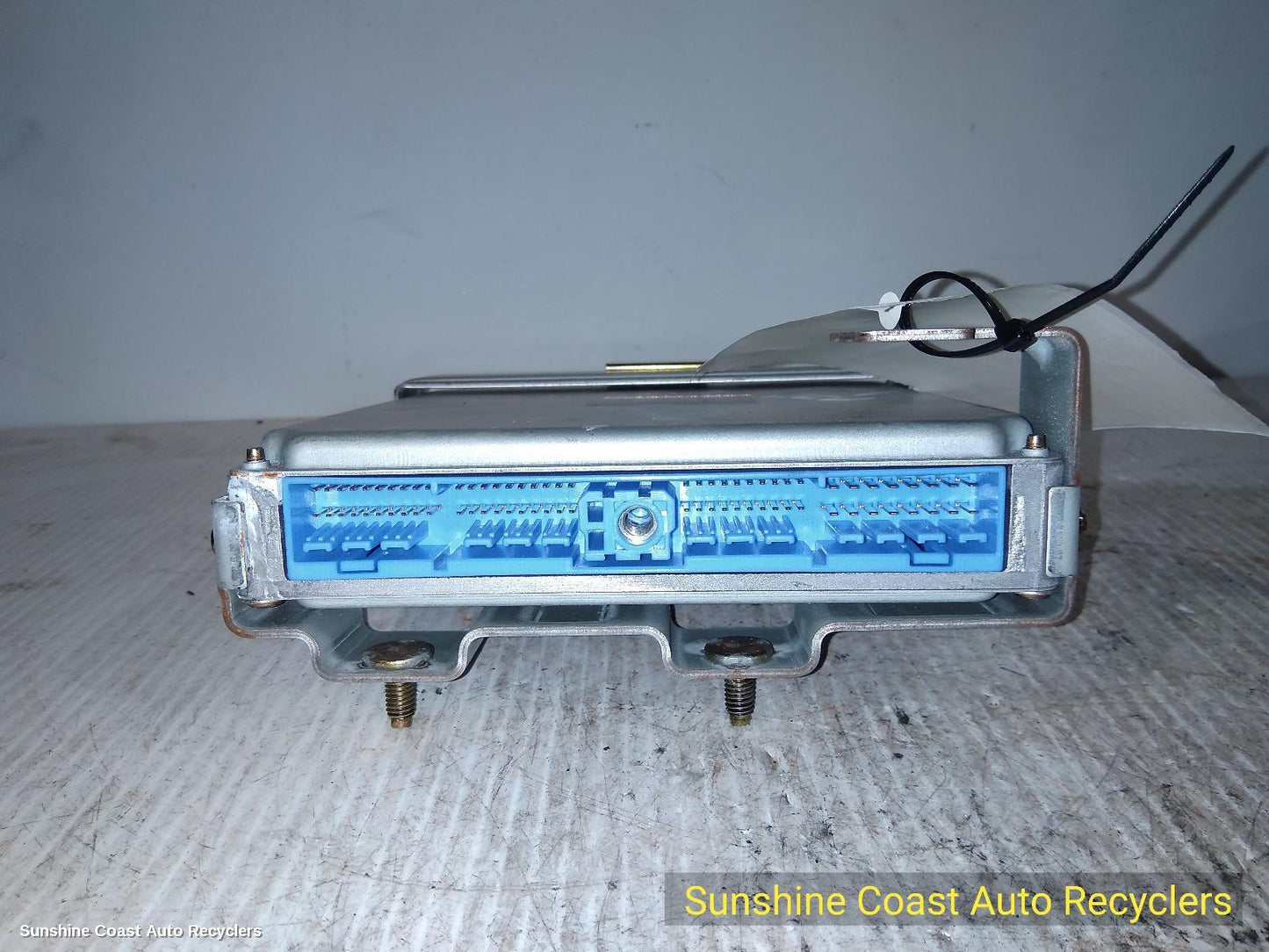 2001 Nissan Pathfinder Ecu