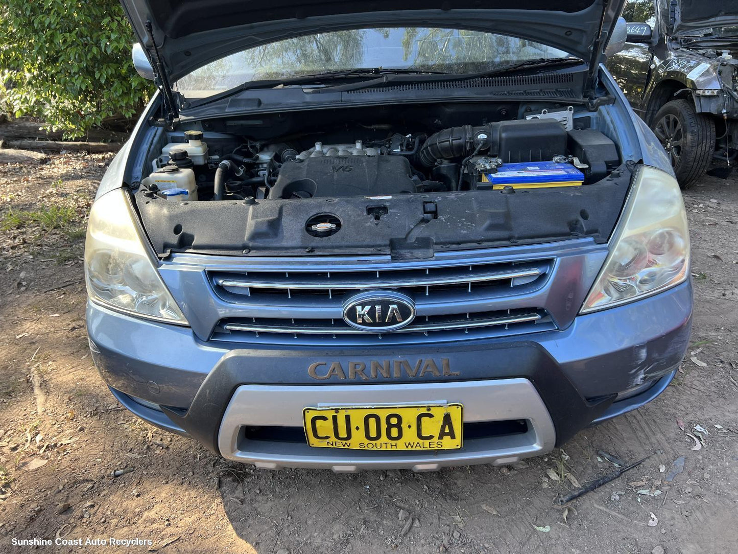2007 Kia Carnival/grand Carnival Ecu