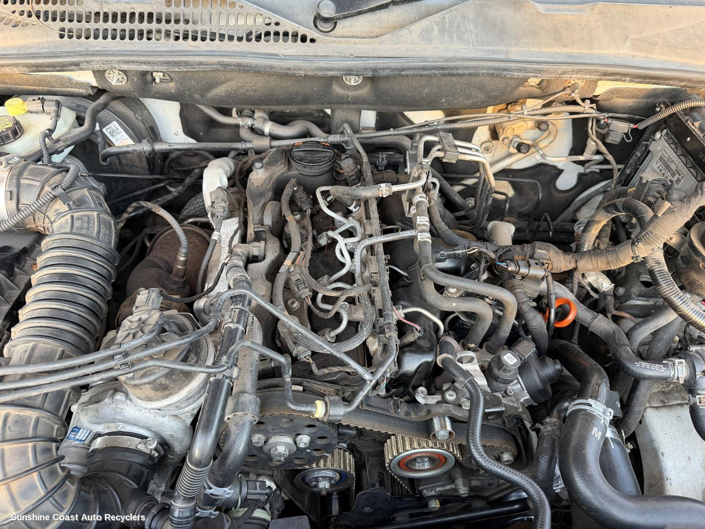 2011-2022 Volkswagen Amarok Wire Harness