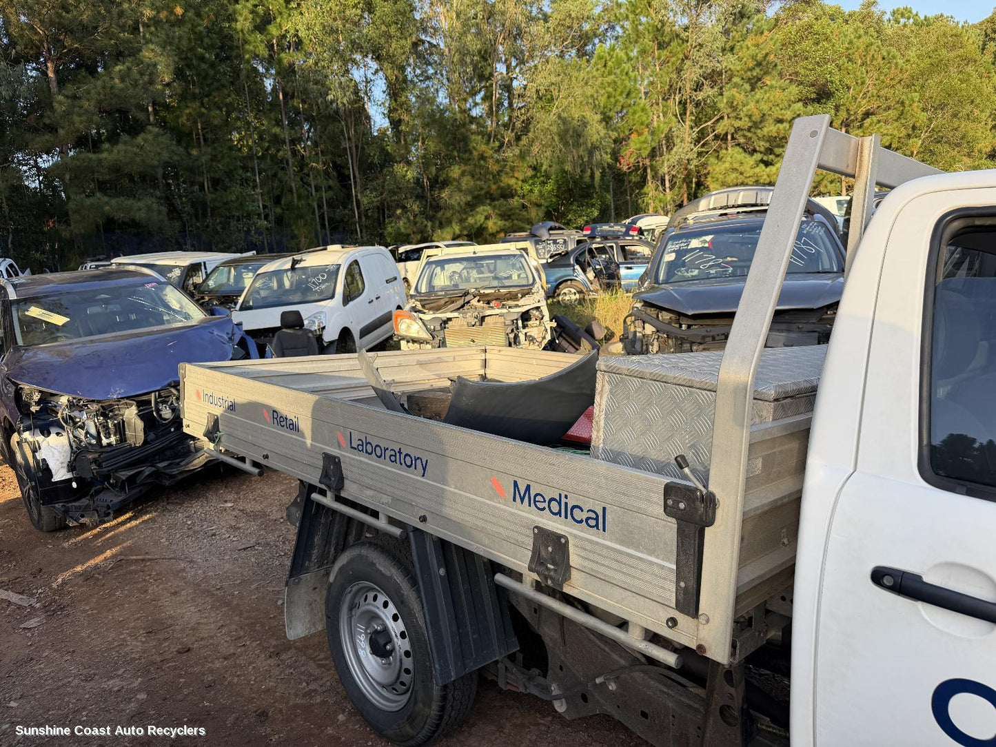 1980-2025 Toyota Hilux Ute Back