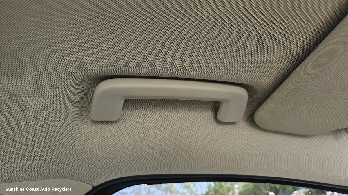 2011-2015 Ford Focus Grab Handle