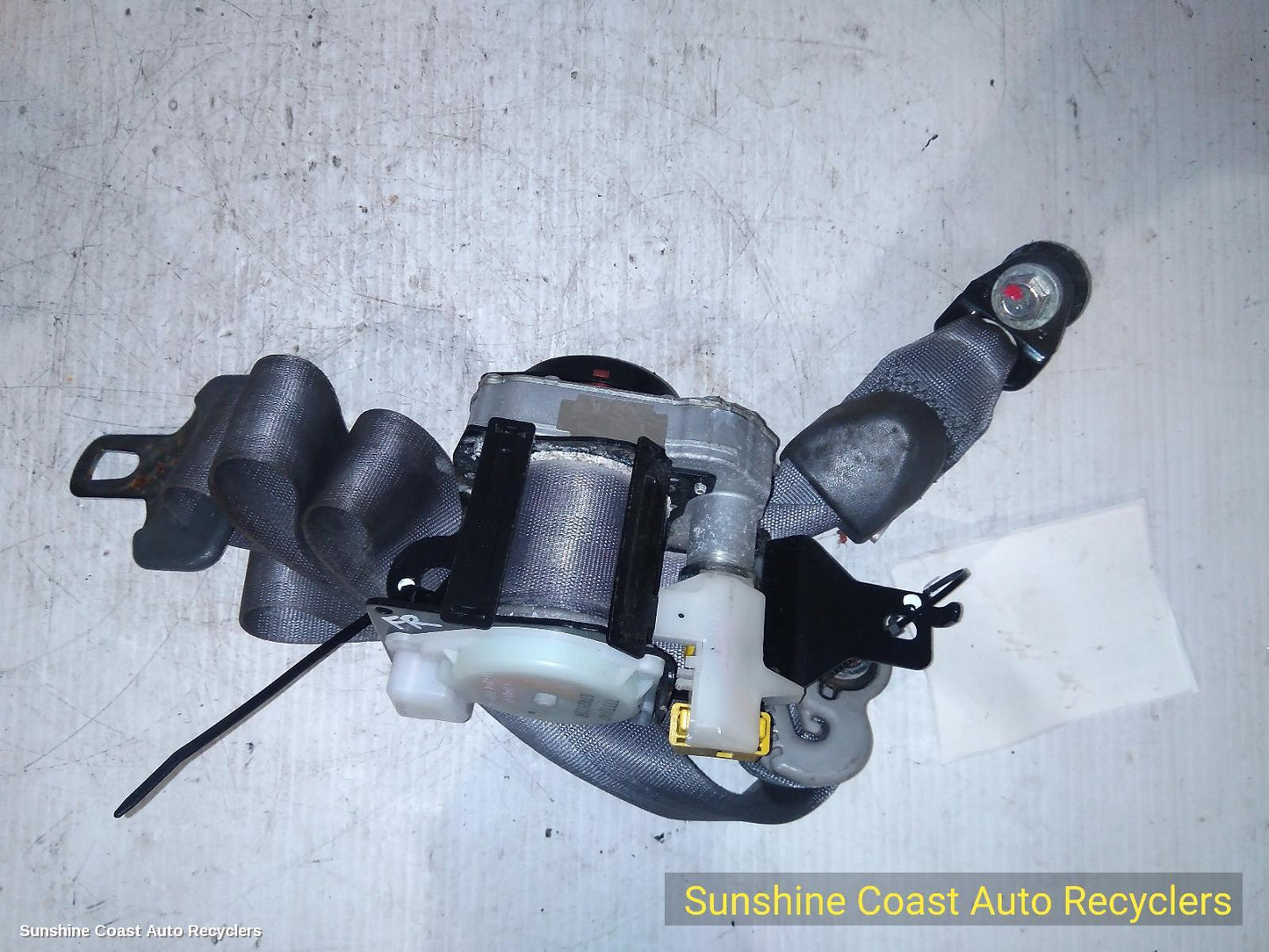 2005 Honda Civic Seatbelt Stalk