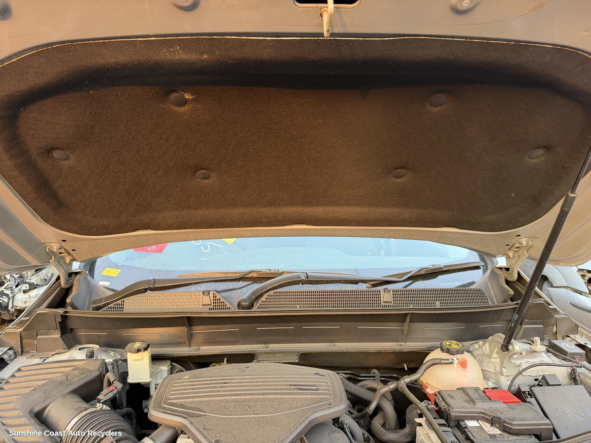 2018-2020 Holden Acadia Bonnet Hinge Strut