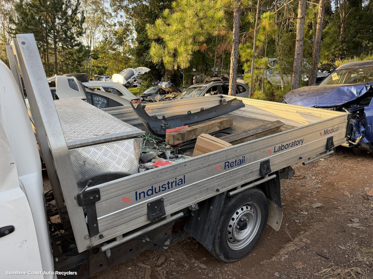1980-2025 Toyota Hilux Ute Back