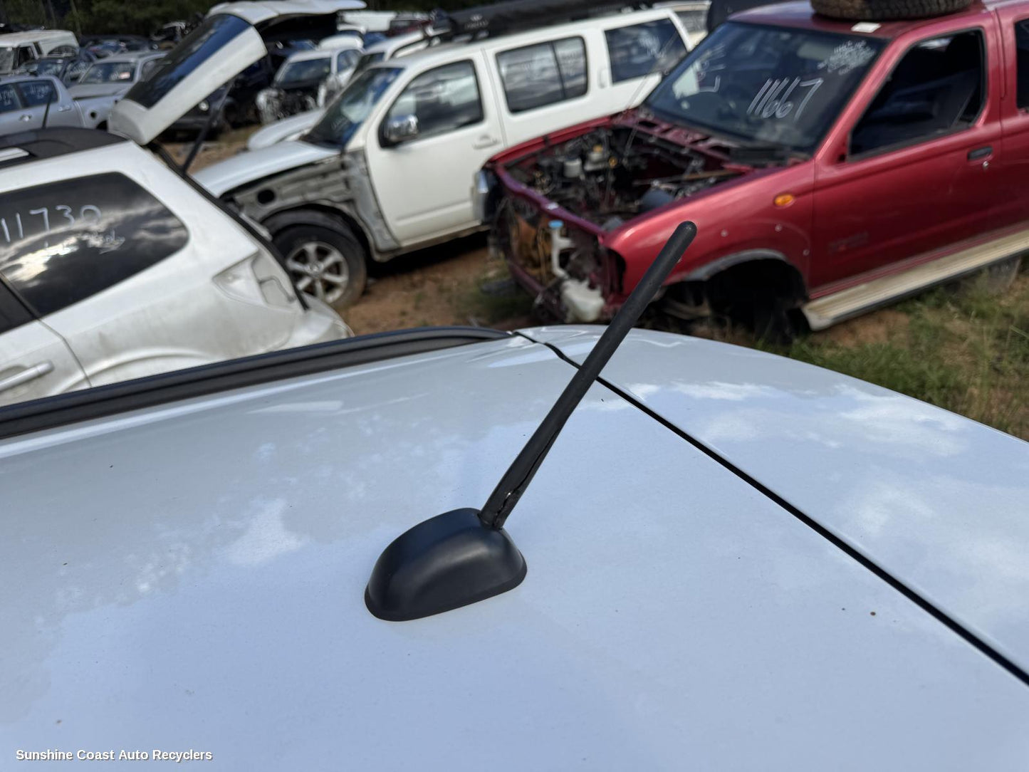 2017 Suzuki S-cross Antenna