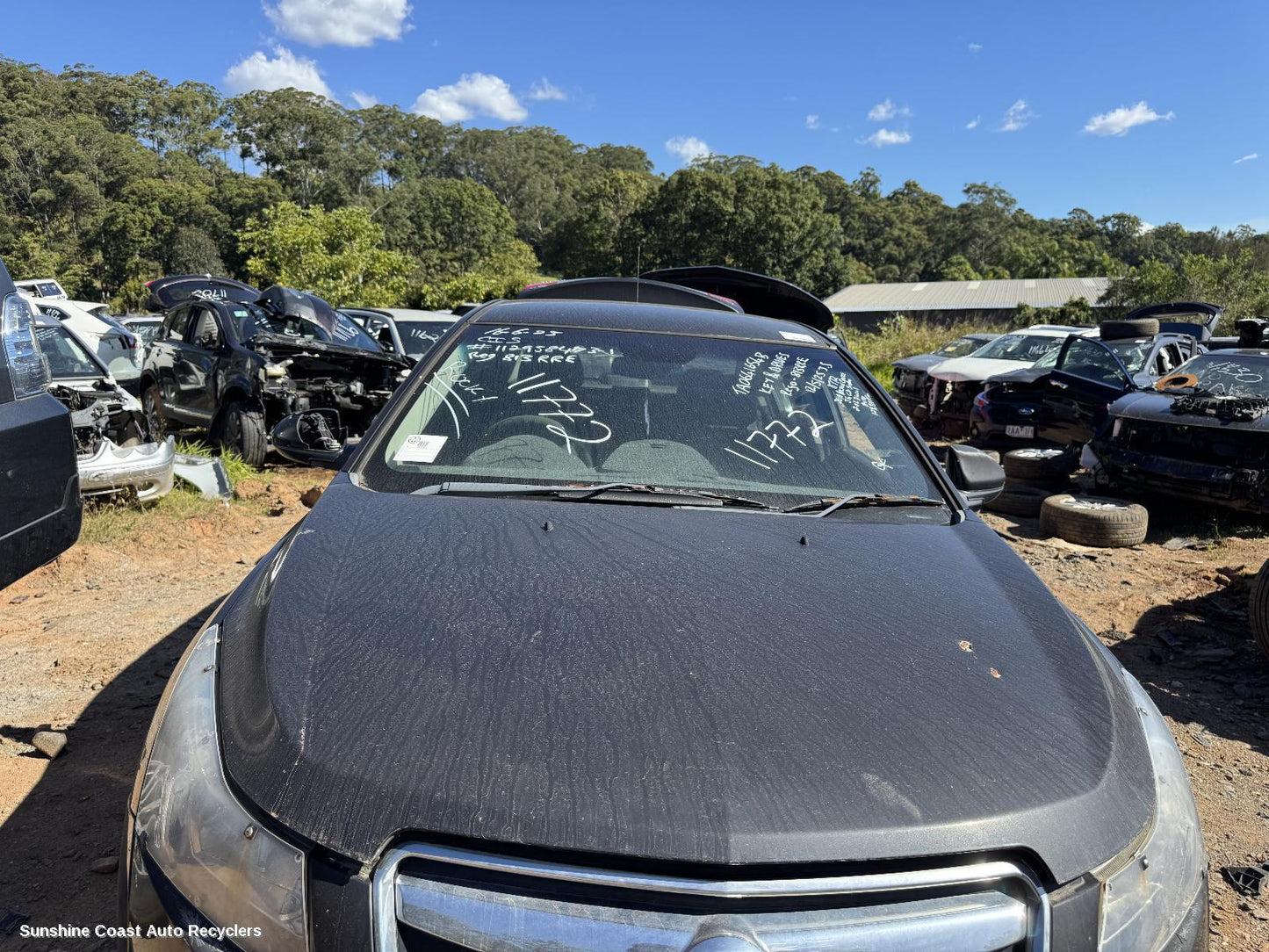 2010 Holden Cruze Bonnet