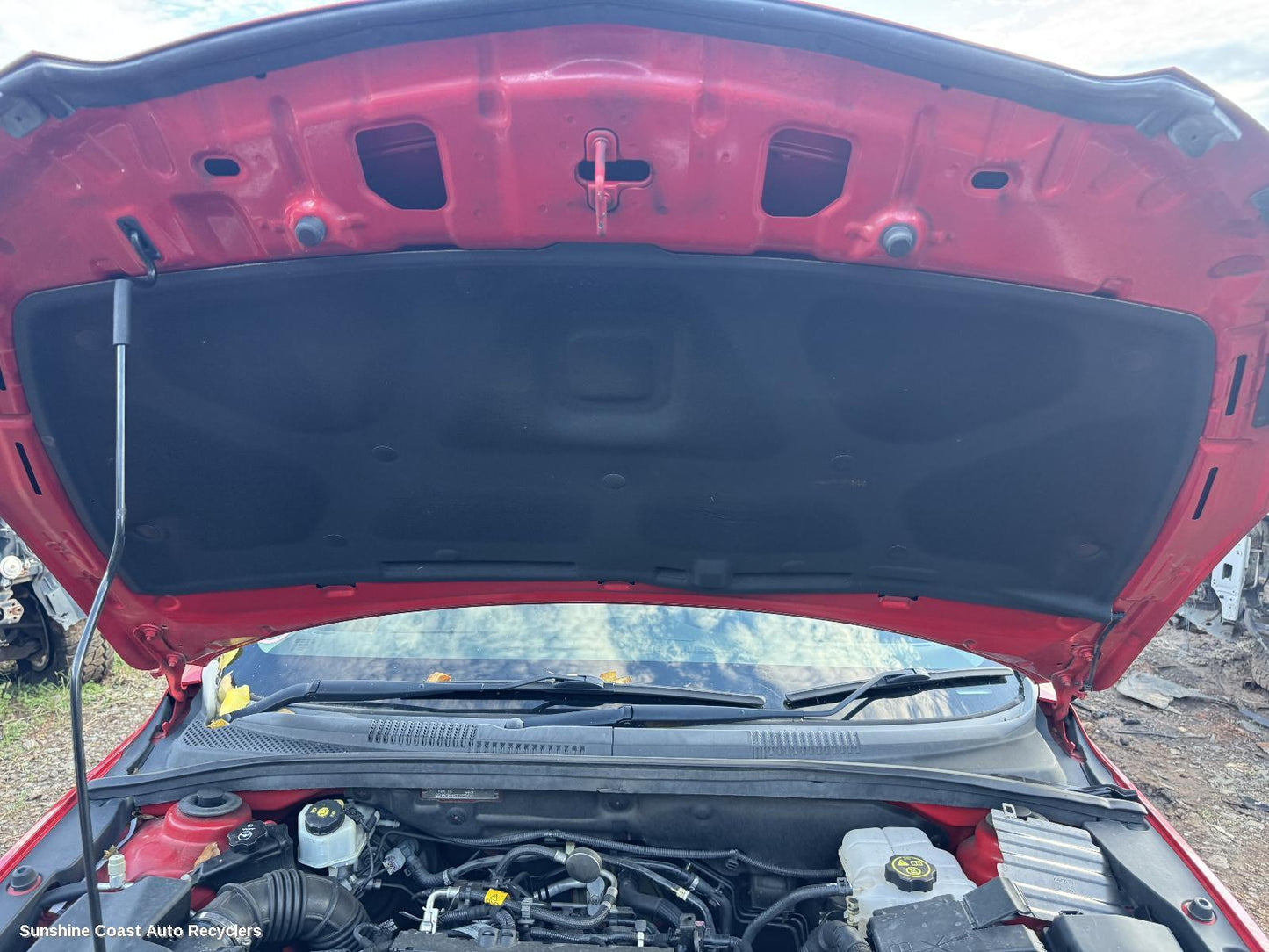 2016 Holden Cruze Bonnet Hinge Strut