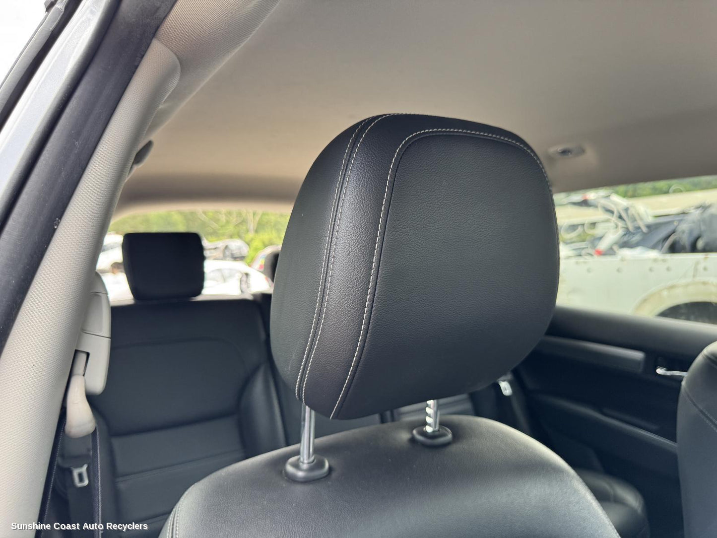 2016-2026 Renault Kaleos Headrest