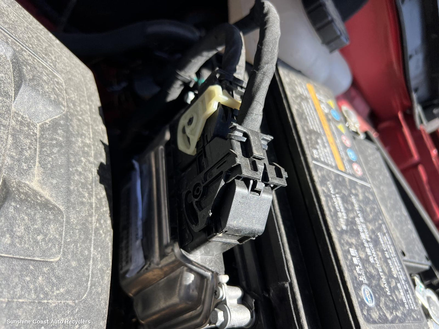 2017-2024 Mg Zs Ecu