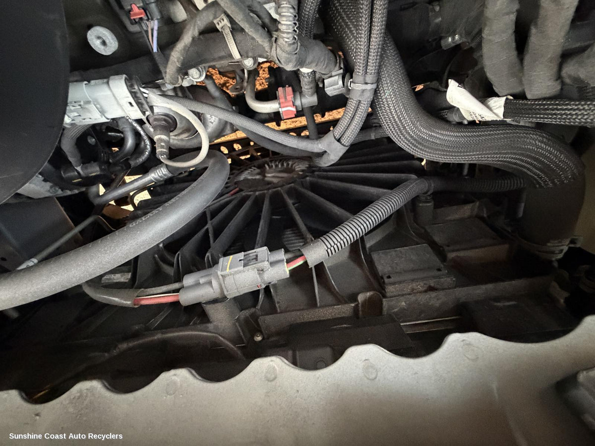 2018-2020 Holden Acadia Fan