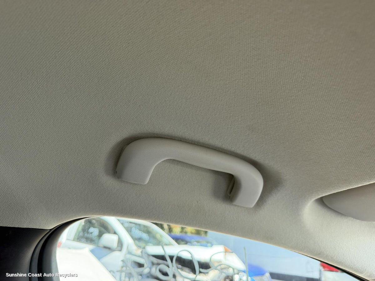 2017-2020 Holden Astra Grab Handle