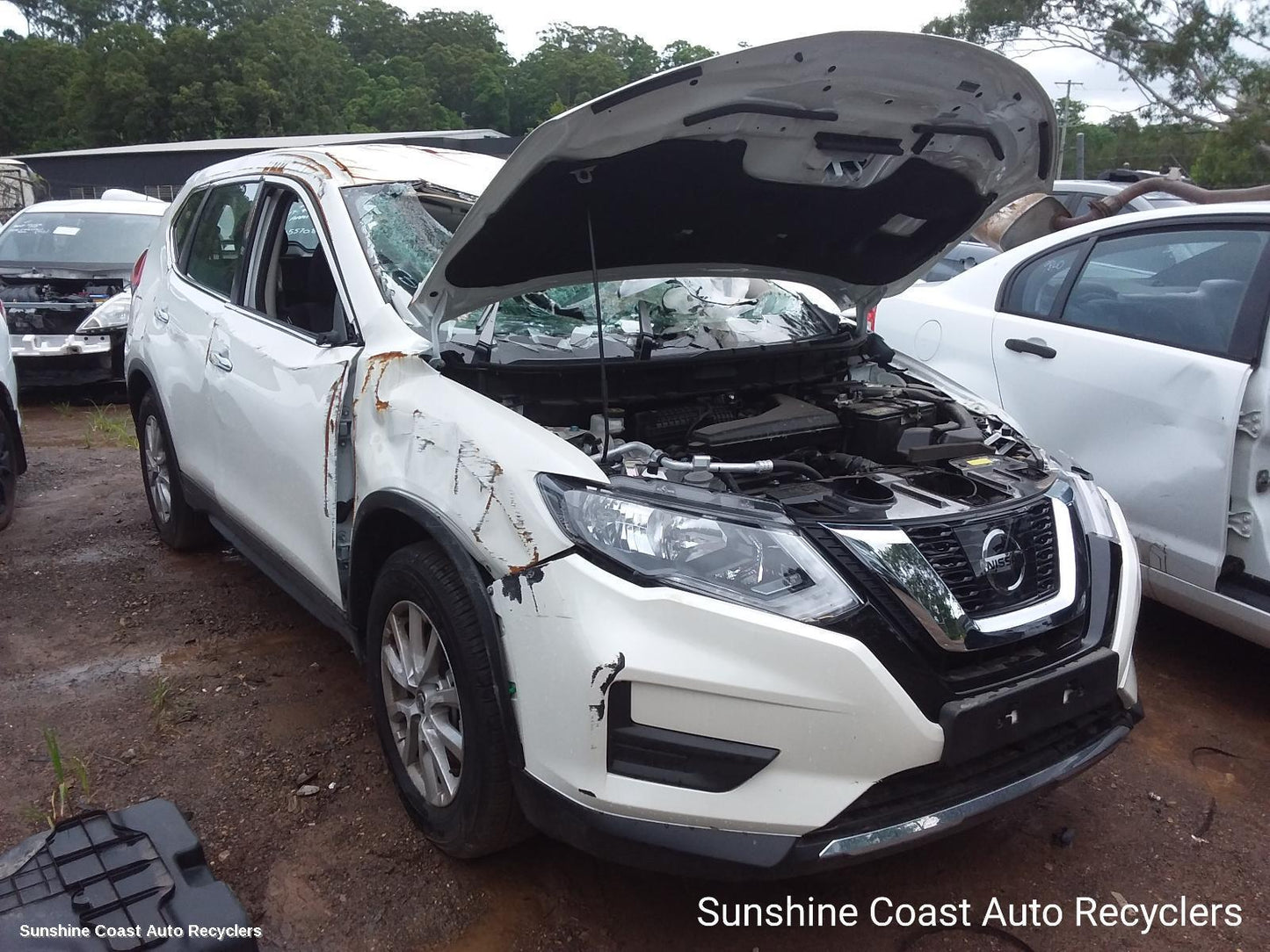 2019 Nissan Xtrail Flywheel Flexplate