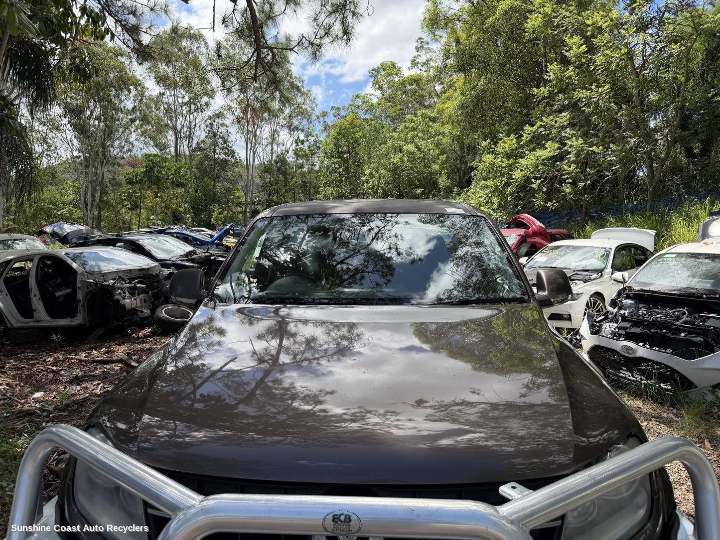 2010-2022 Volkswagen Amarok Bonnet