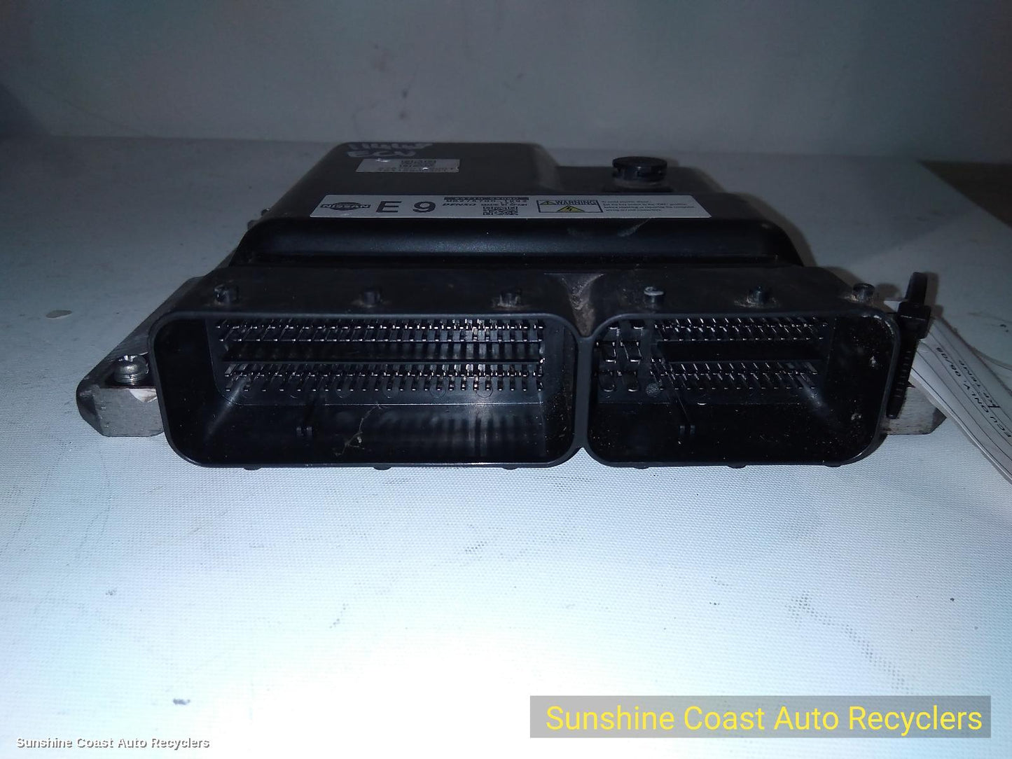 2013 Nissan Pathfinder Ecu