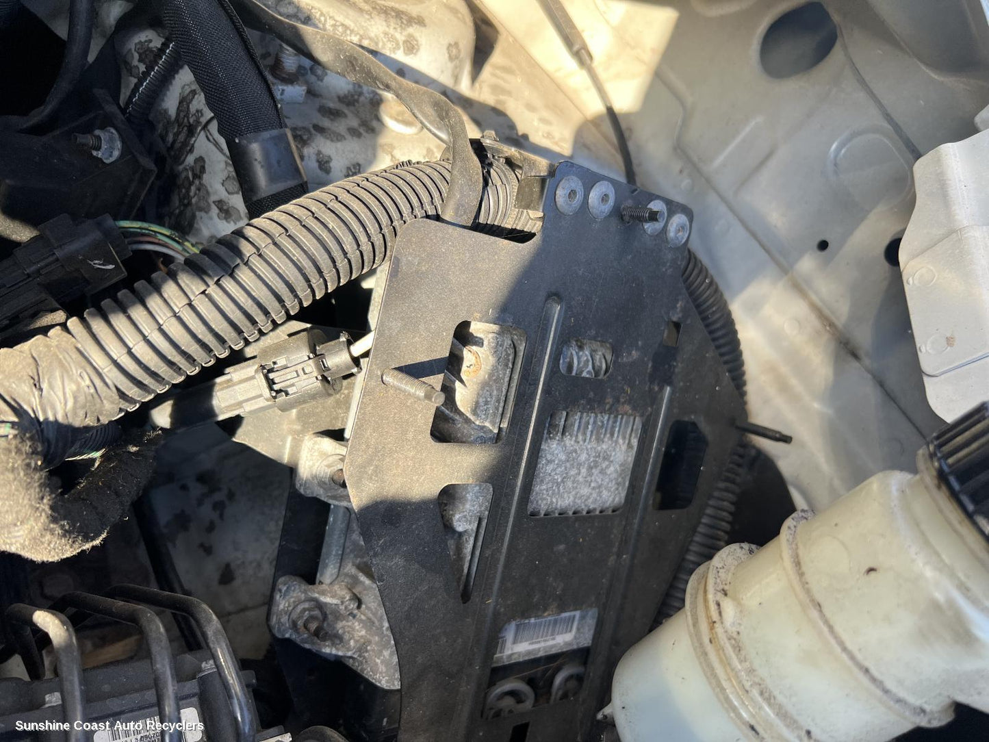 2008 Peugeot Expert Ecu