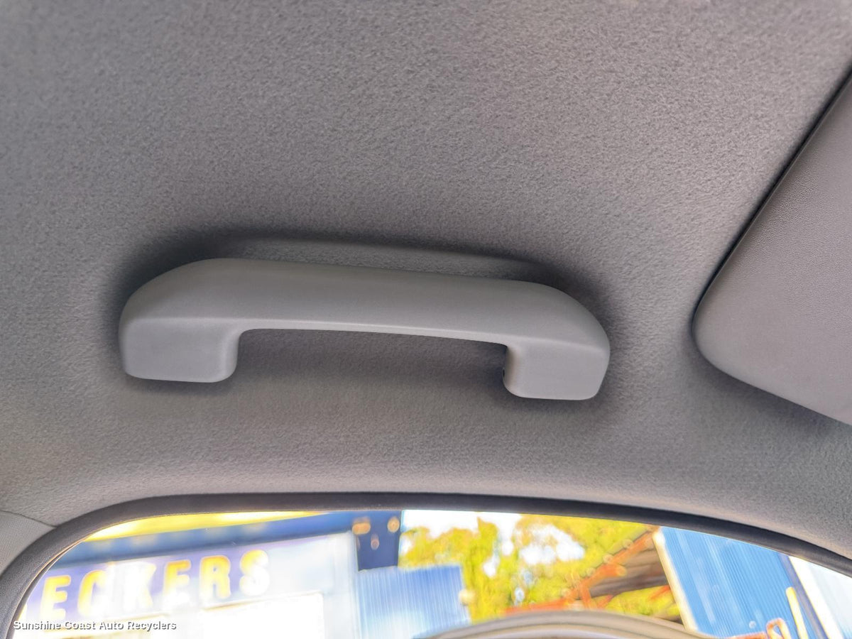 2017-2026 Ldv T60 Grab Handle