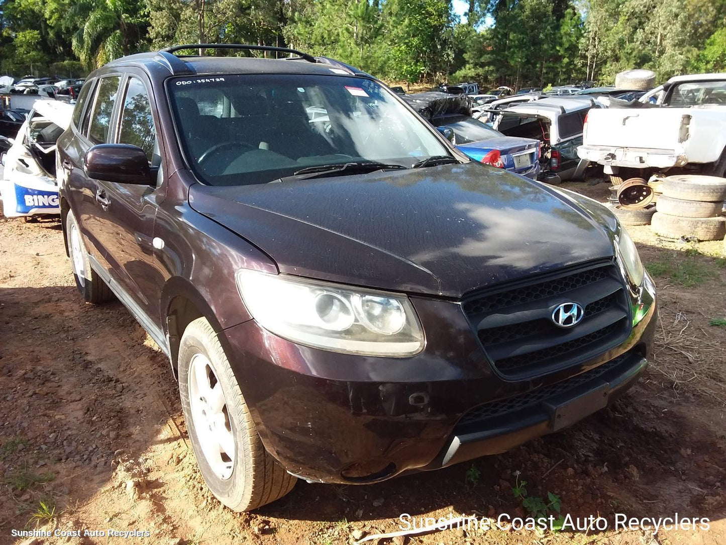 2007 Hyundai Santa Fe Steering Pump