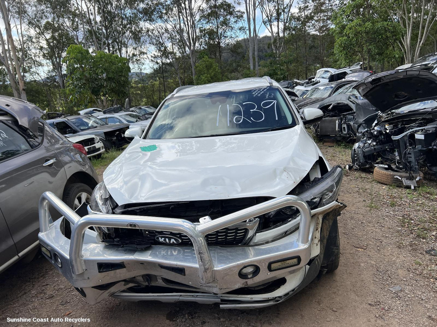 2017-2020 Kia Sorento Left Rear Wnd Reg Motor