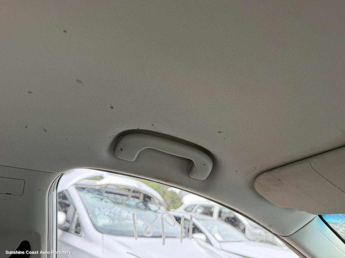 2017-2025 Mg Zs Grab Handle