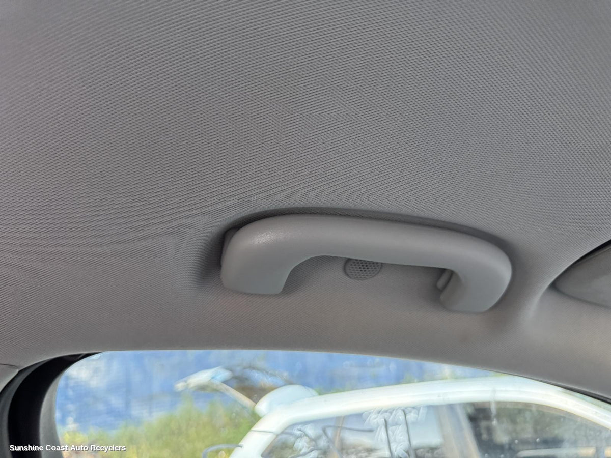 2017-2020 Holden Equinox Grab Handle
