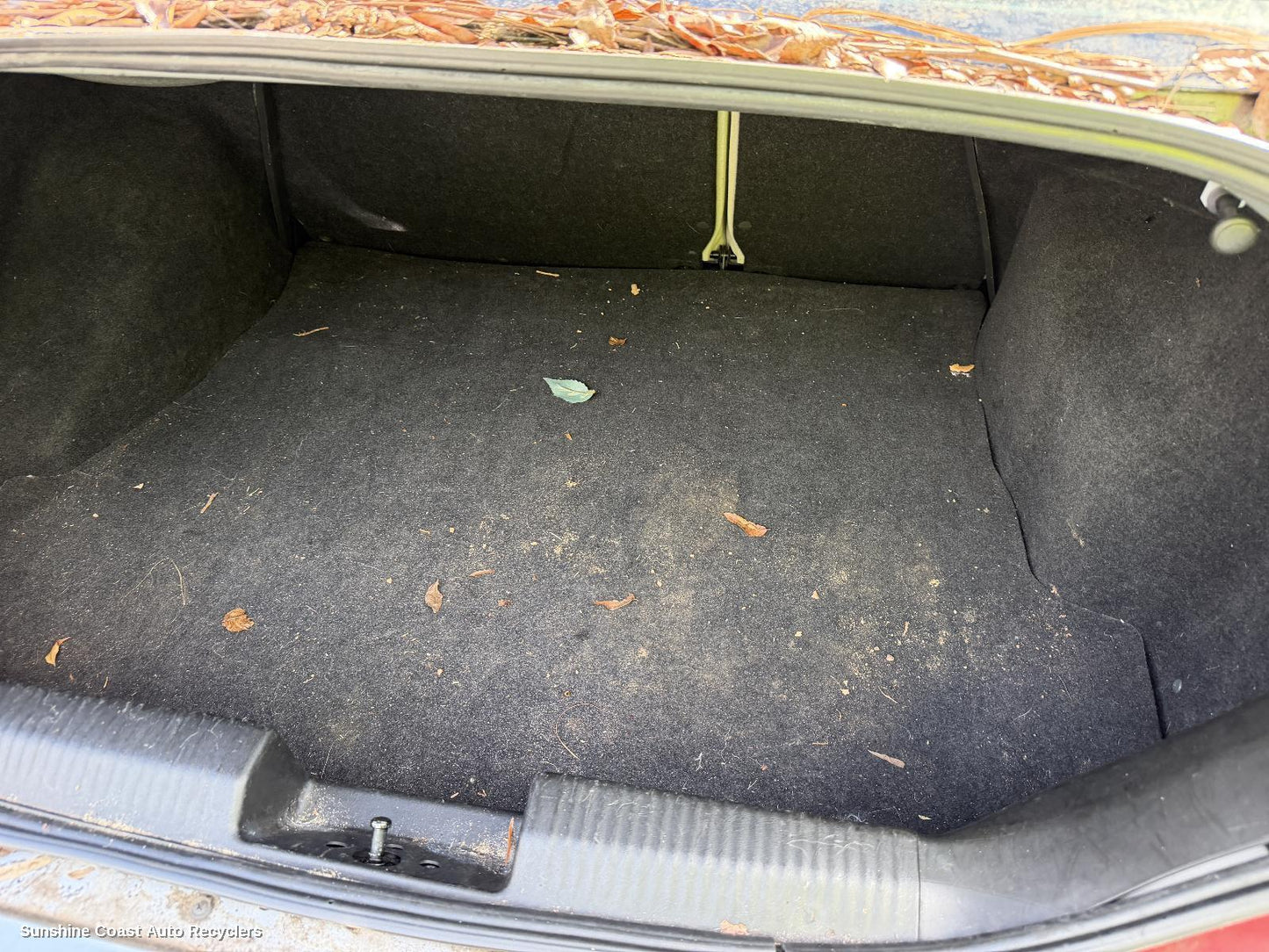 2001-2005 Ford Focus Floor Mats