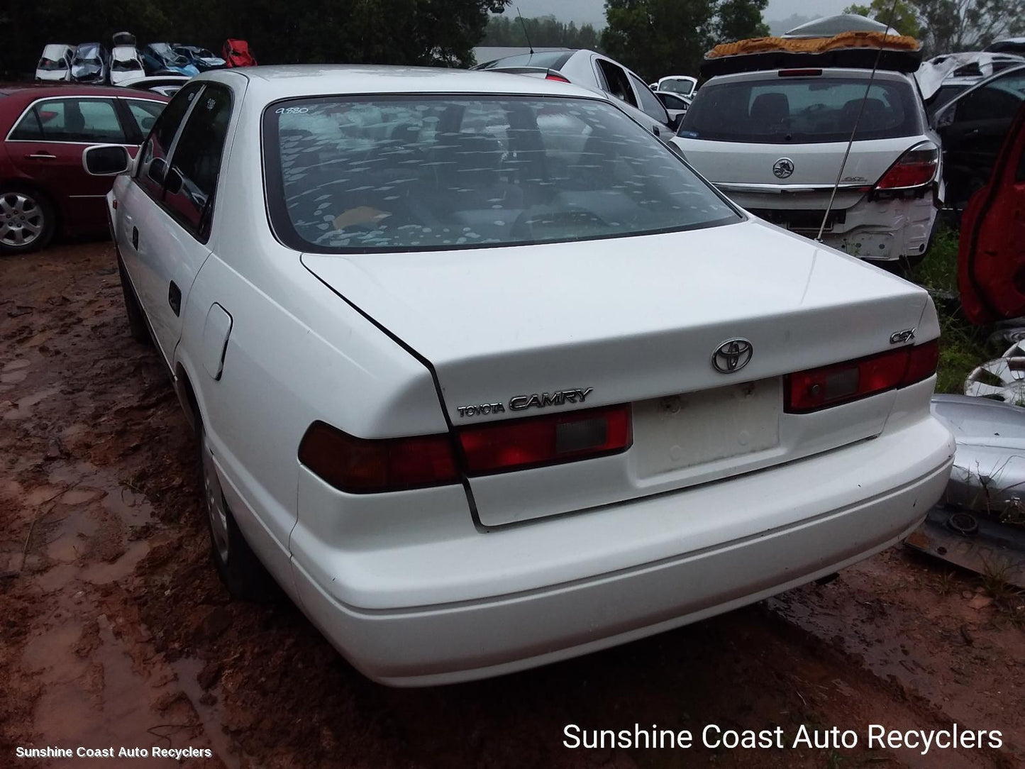 1997 Toyota Camry Flywheel Flexplate