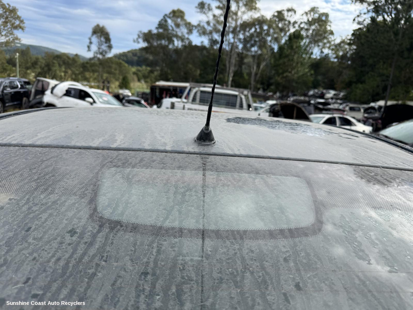 2008 Holden Commodore Antenna
