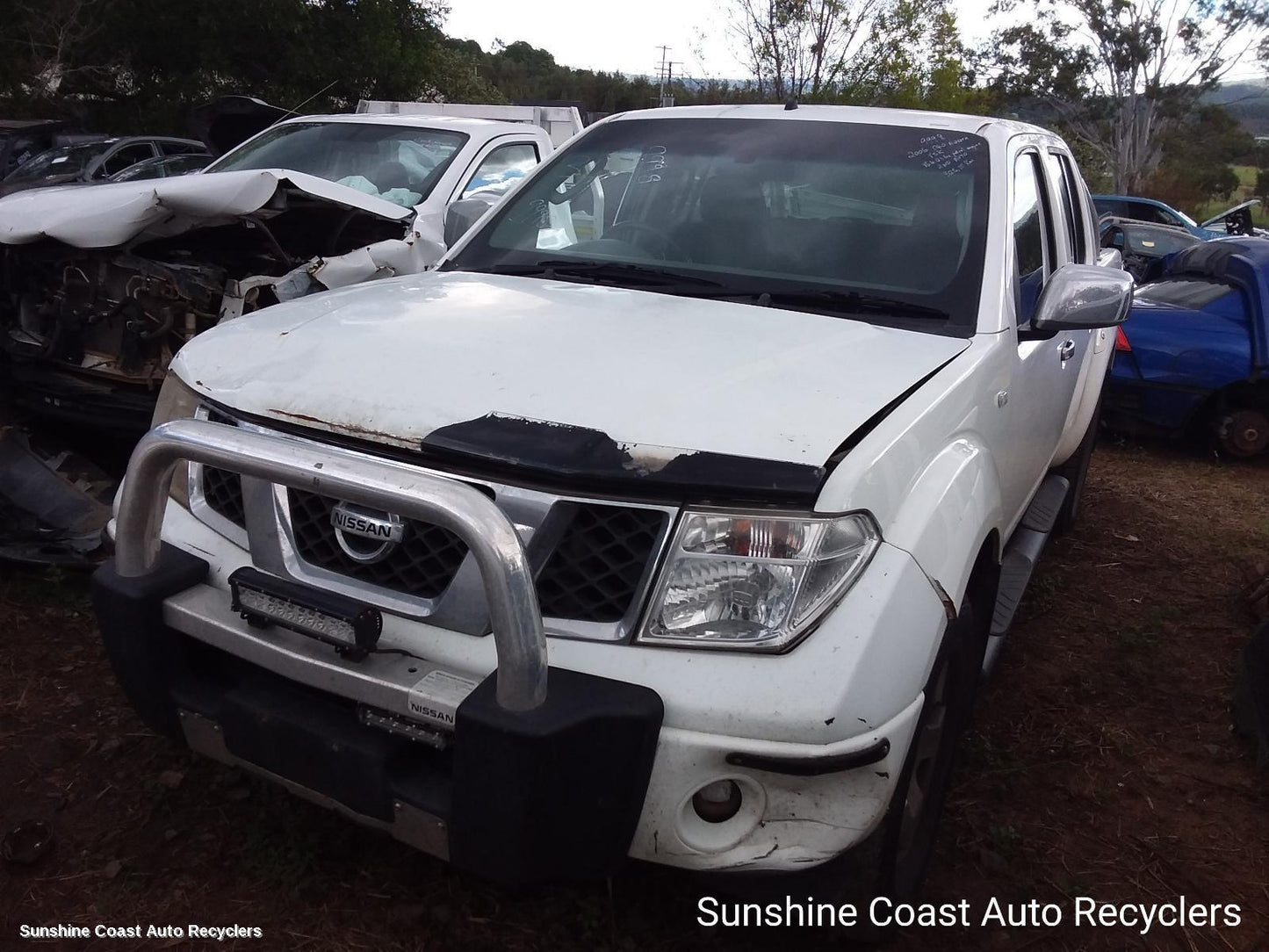 2006 Nissan Navara Steering Pump