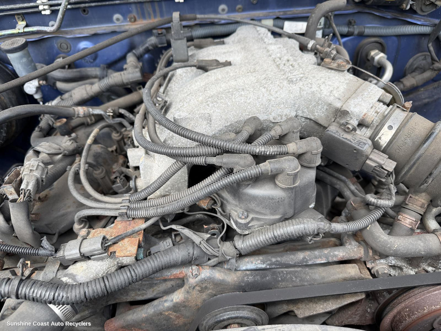 1997-2001 Nissan Navara Engine