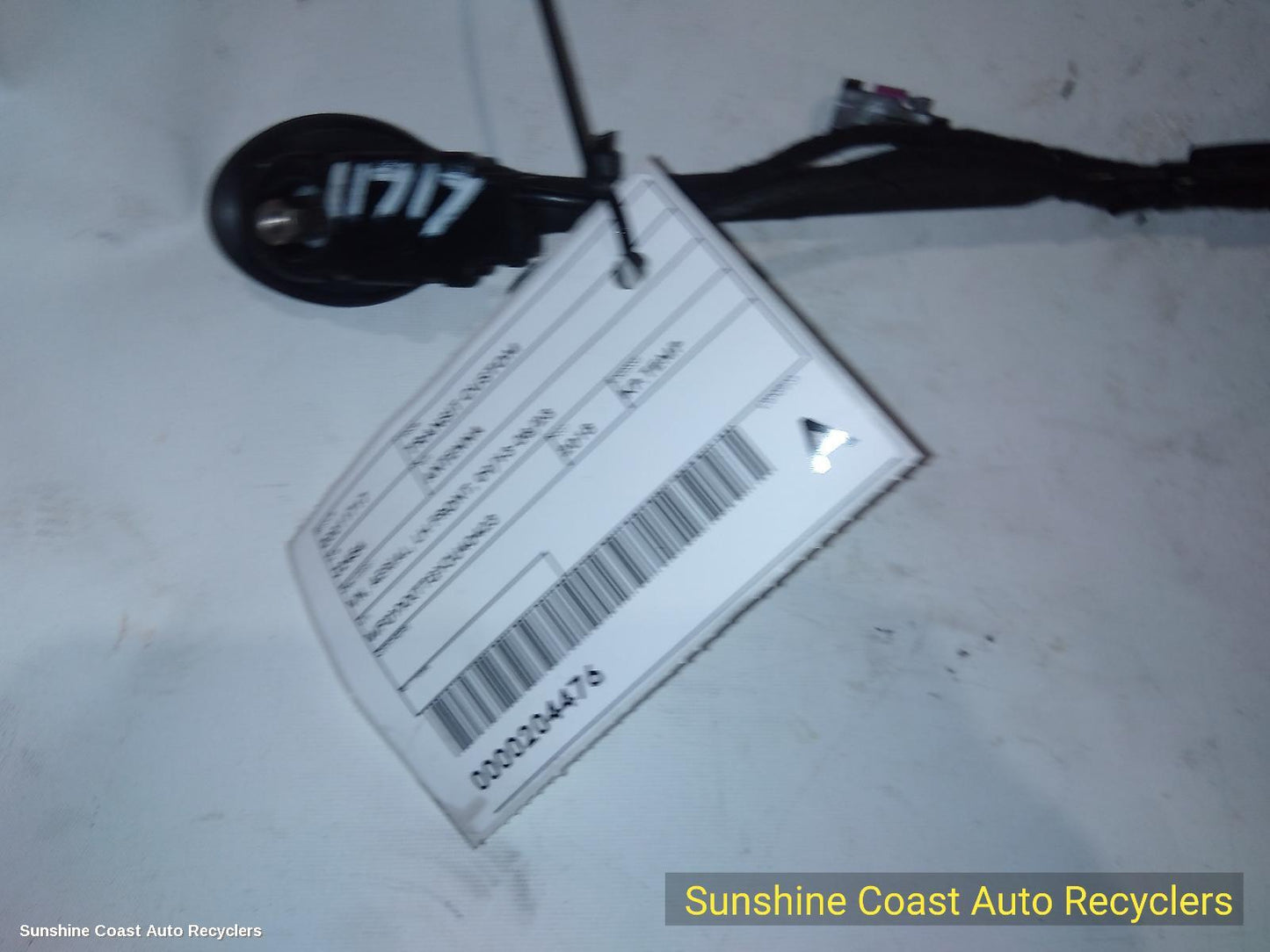 2013-2024 Ford Transit Custom Antenna