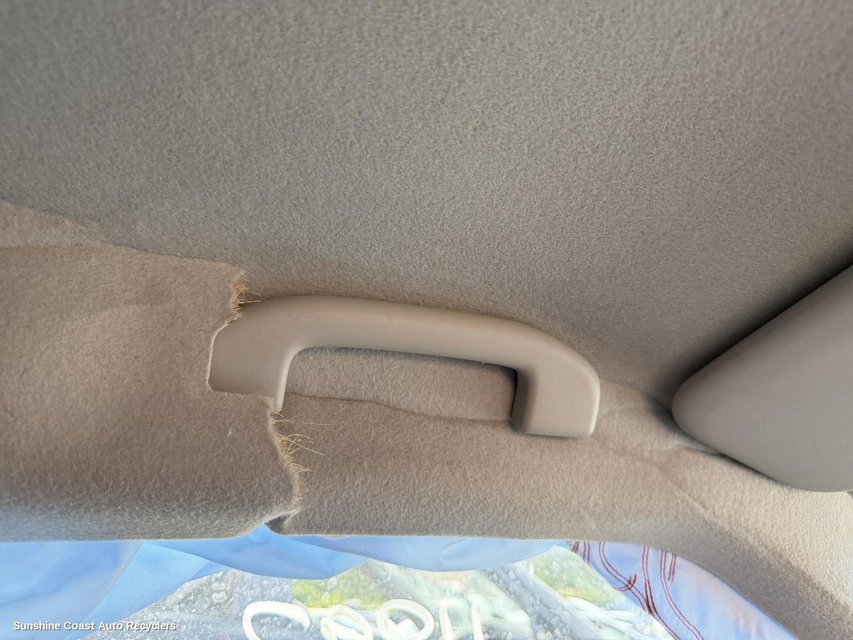 2010-2019 Nissan Juke Grab Handle