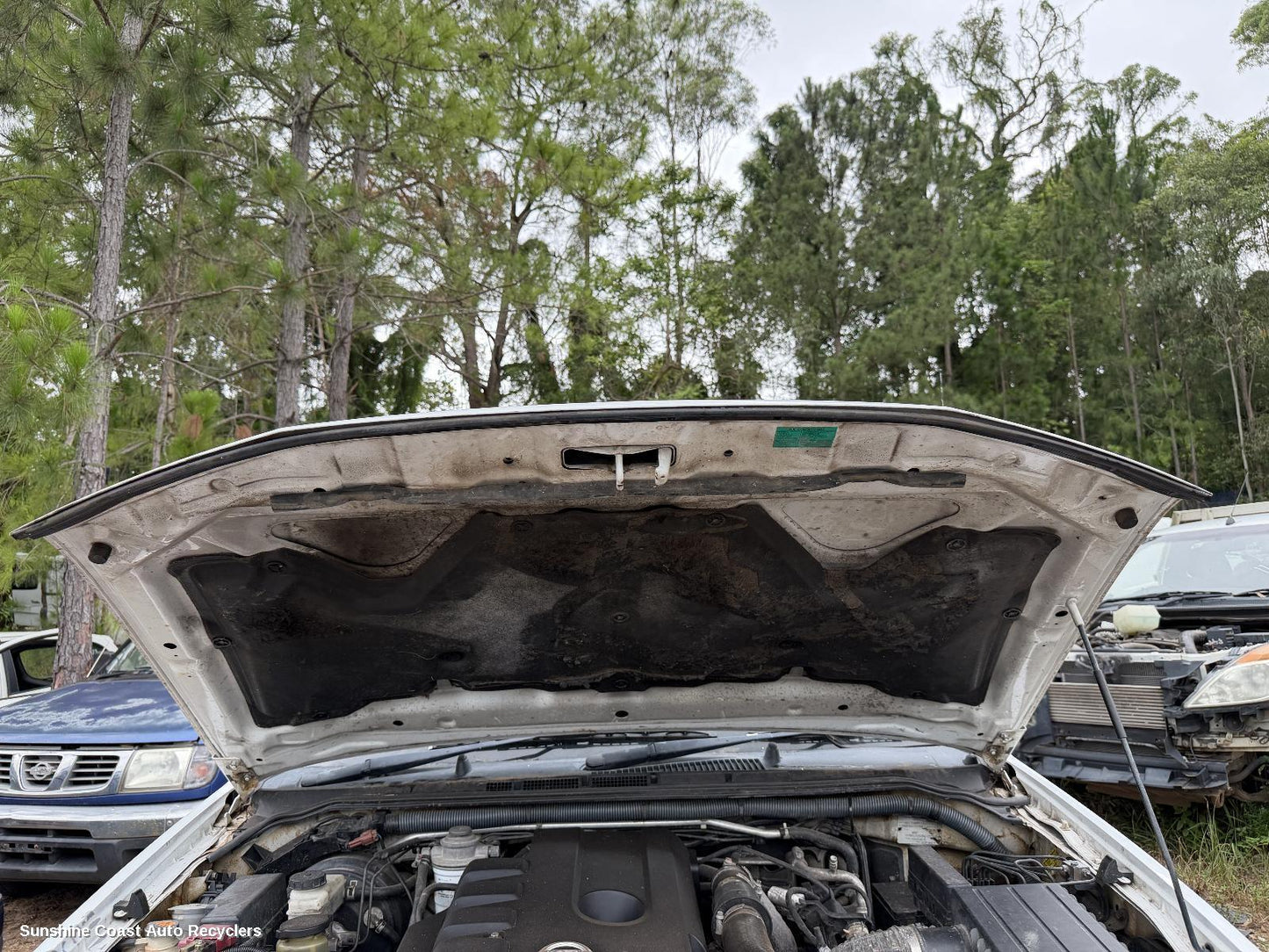 2011 Nissan Navara Bonnet
