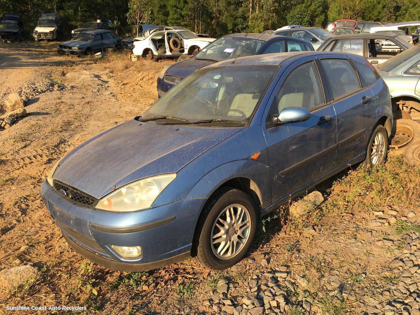 2003 Ford Focus Right Guard