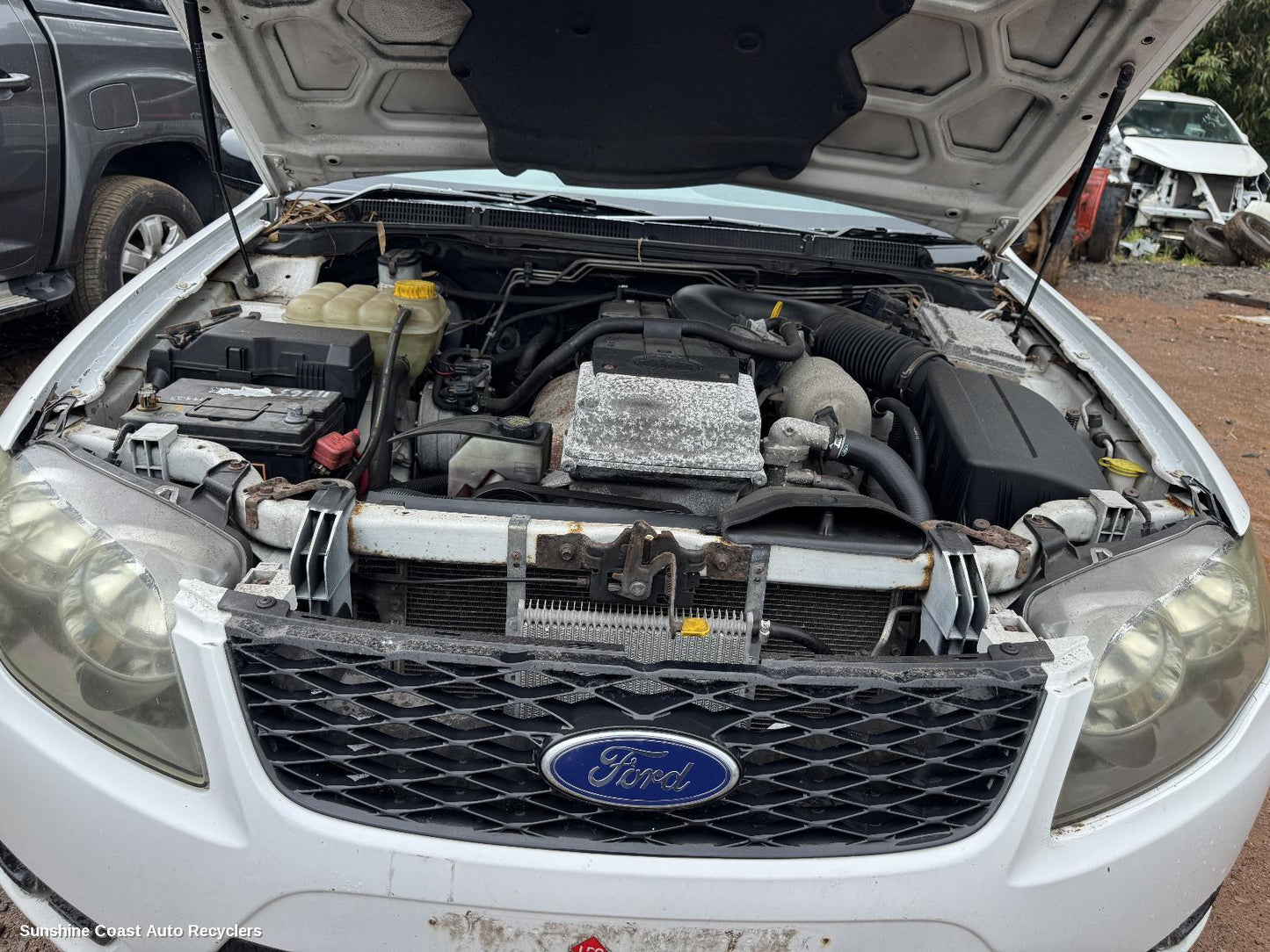 2008-2011 Ford Falcon Grille