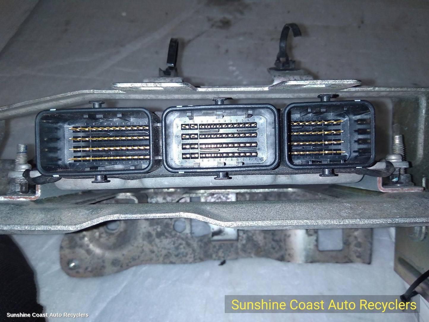 2015 Nissan Pulsar Ecu