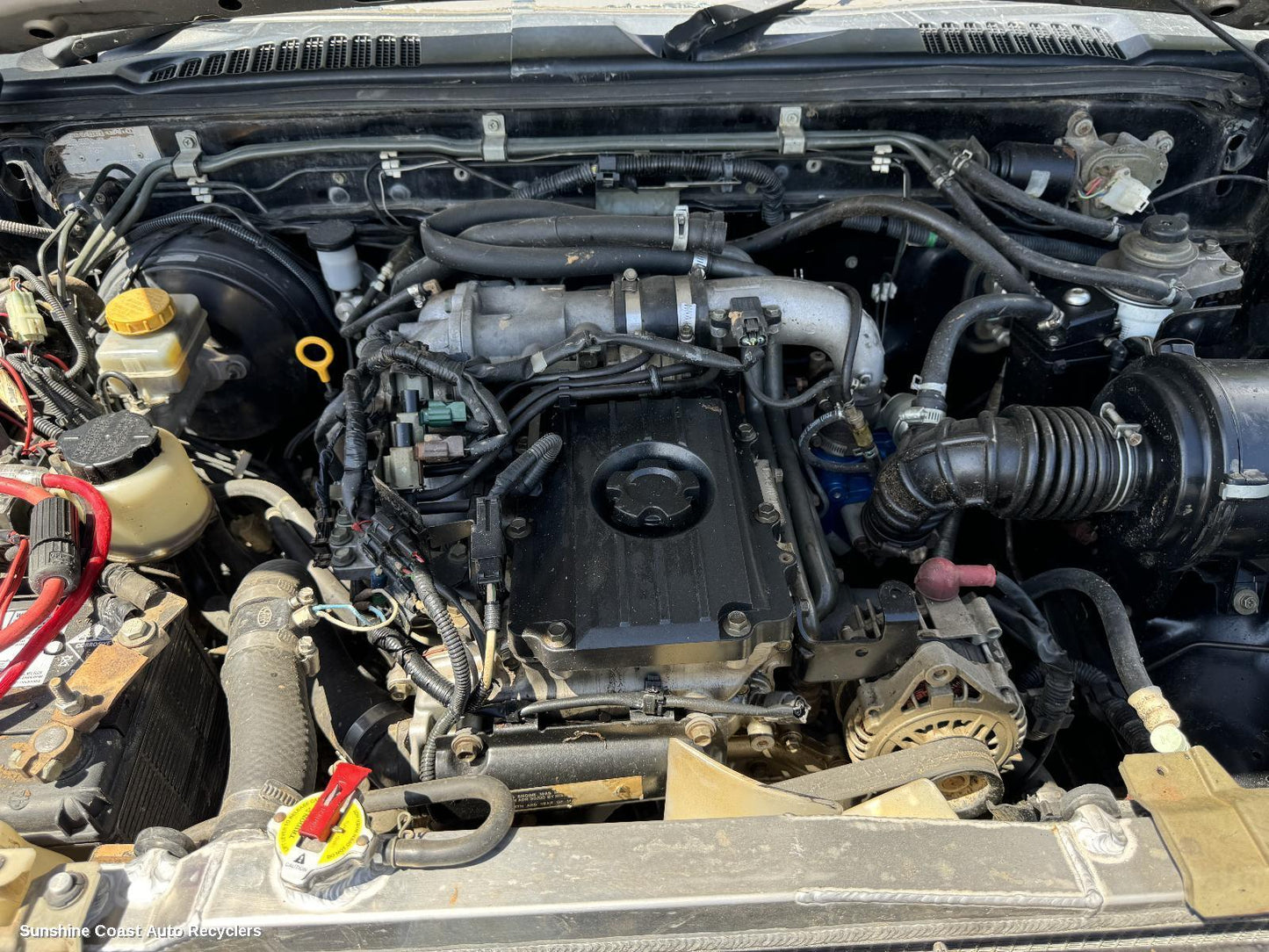2003 Nissan Navara Engine
