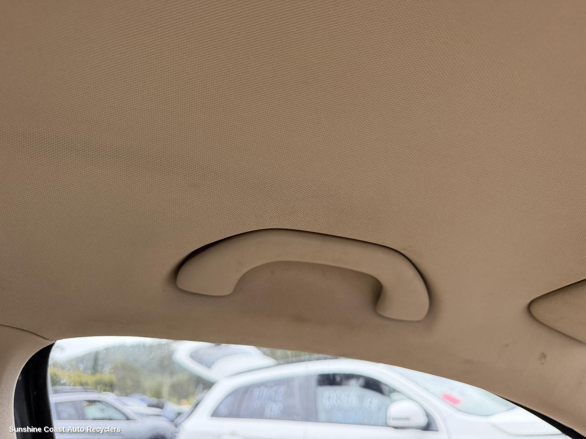 2008-2011 Volkswagen Tiguan Grab Handle