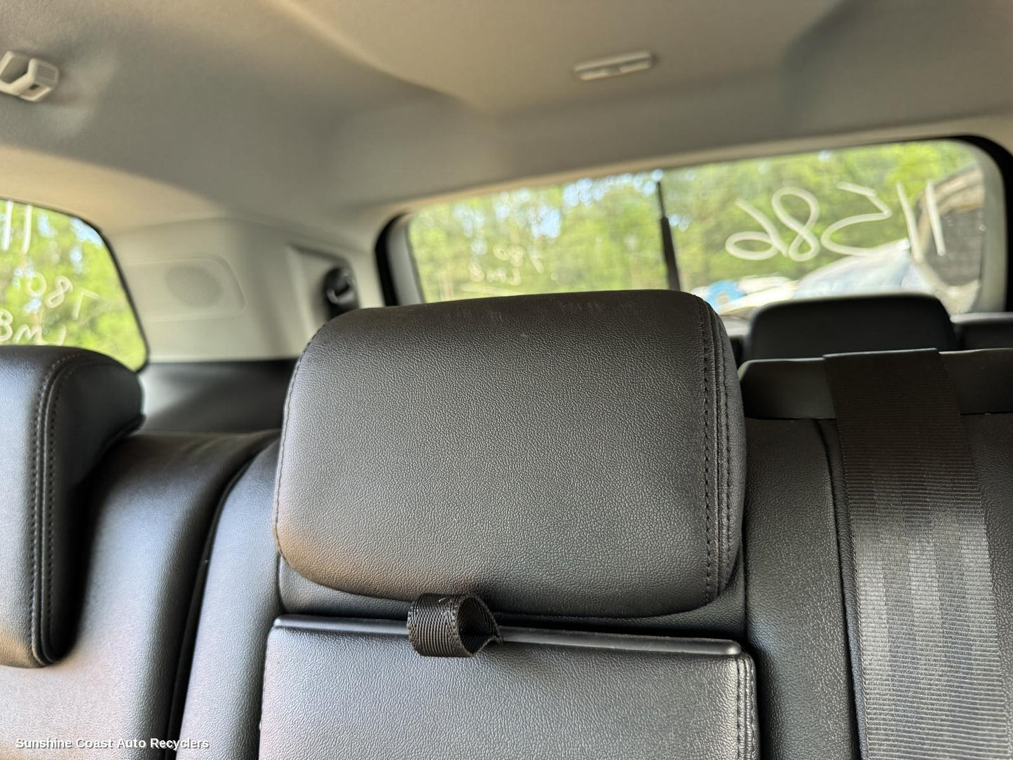 2024 Ford Everest Headrest