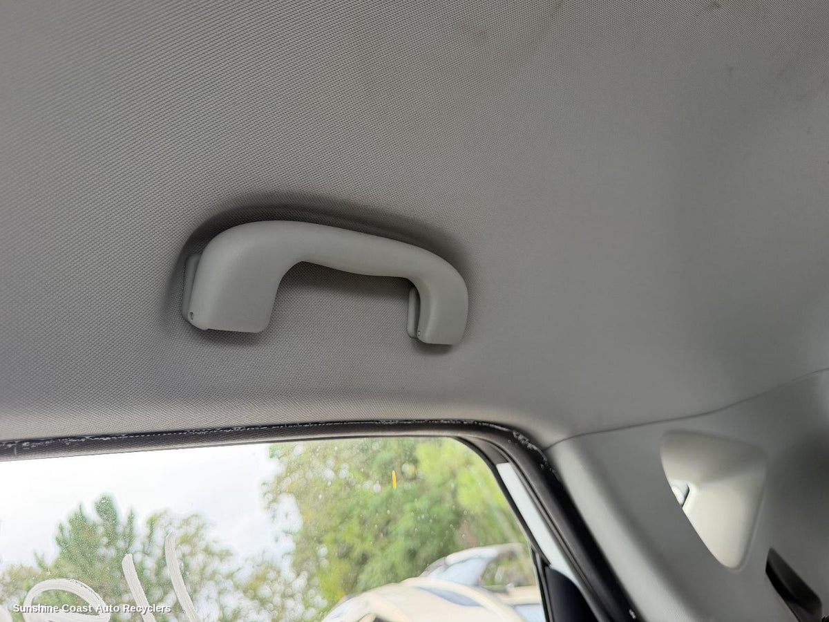 2017-2025 Mg Zs Grab Handle