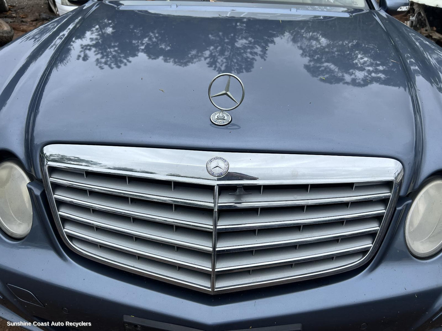 2006 Mercedes E Class Grille