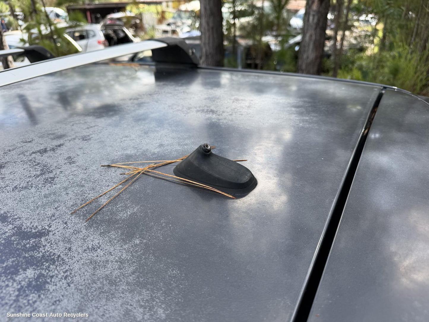 2006-2012 Mazda Cx7 Antenna