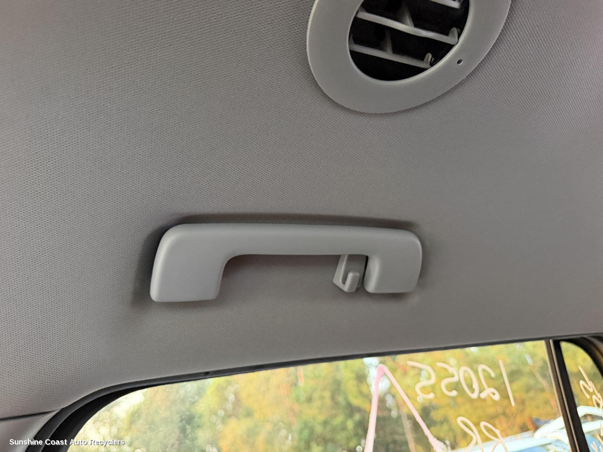 2018-2020 Holden Acadia Grab Handle